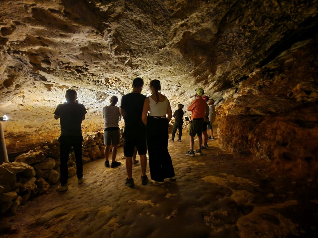 Grotte de Bara Bahau - Le Sanctuaire de l'Ours, Le Bugue - photo 3