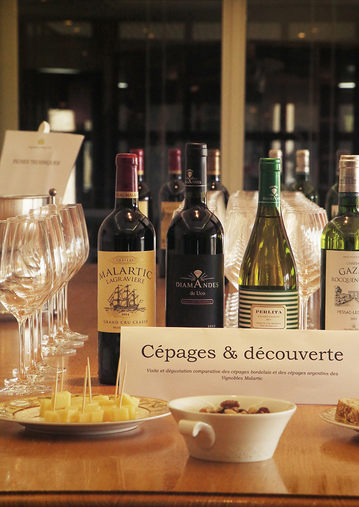 Cépage et Découverte