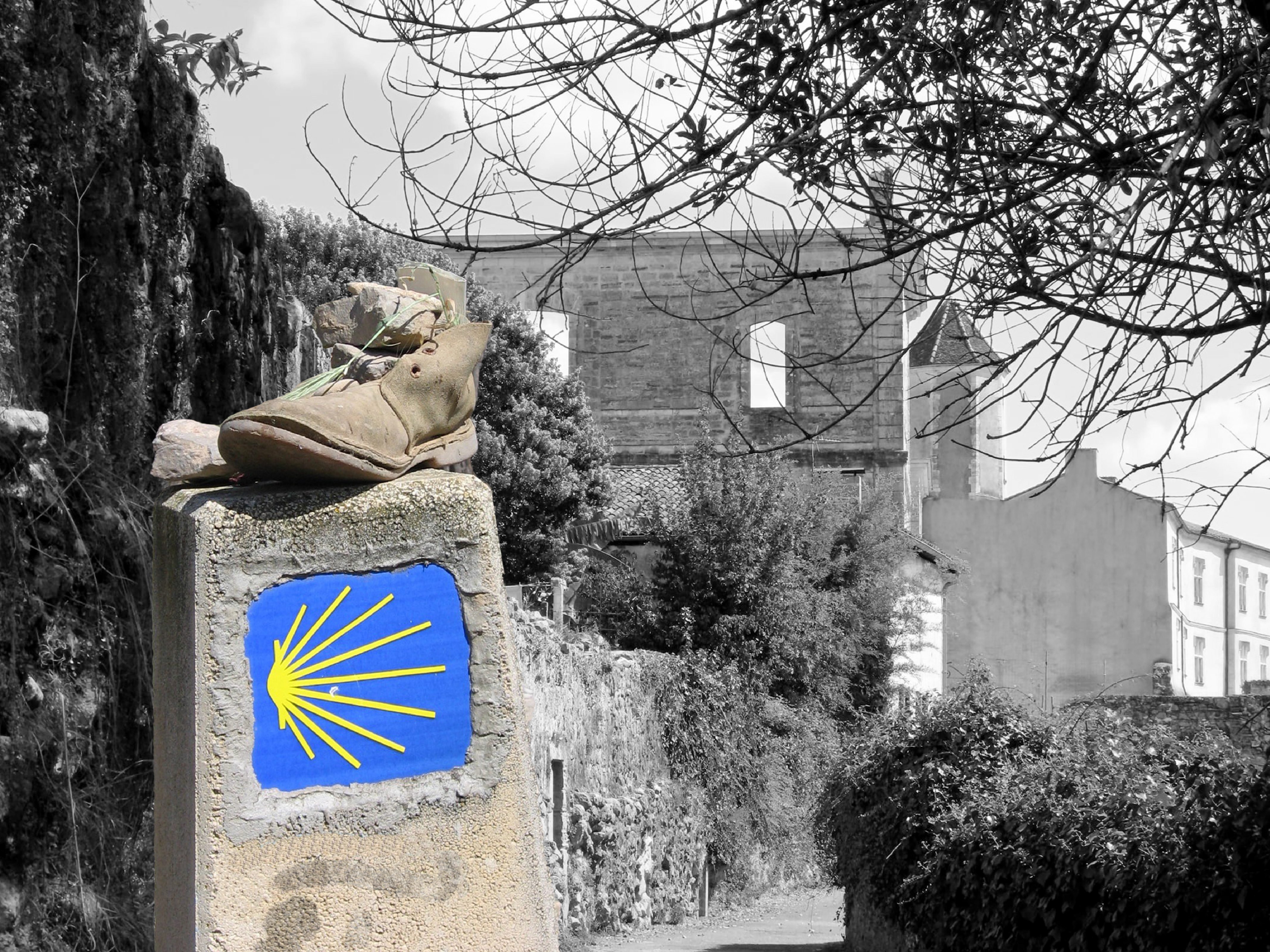 Visite à part - Sur le chemin de Compostelle