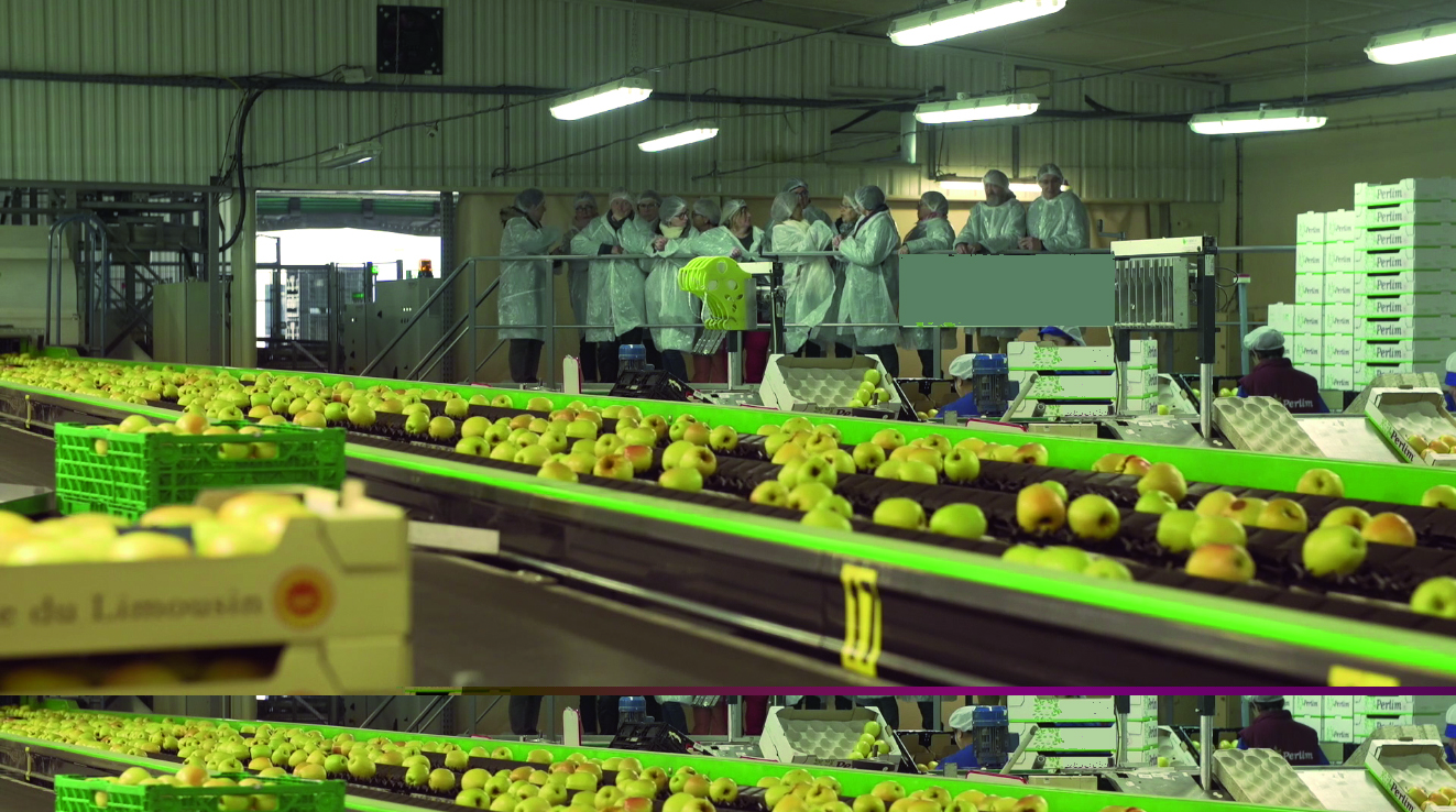 Route de la Pomme du Limousin : Visite coopérative 2026 — visuel événement