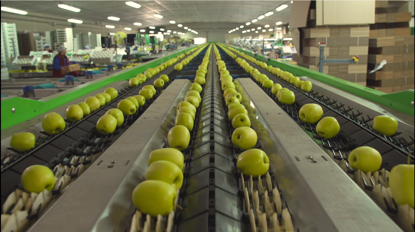 Route de la Pomme du Limousin : Visite coopérative 2026, Saint-Yrieix-la-Perche - photo 2