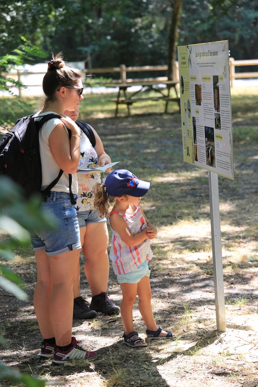 Les Ruchers du Born, Pontenx-les-Forges - photo 8
