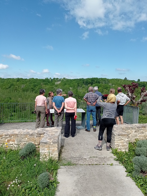 Mémoires de Cailloux - Virginia Bornand El