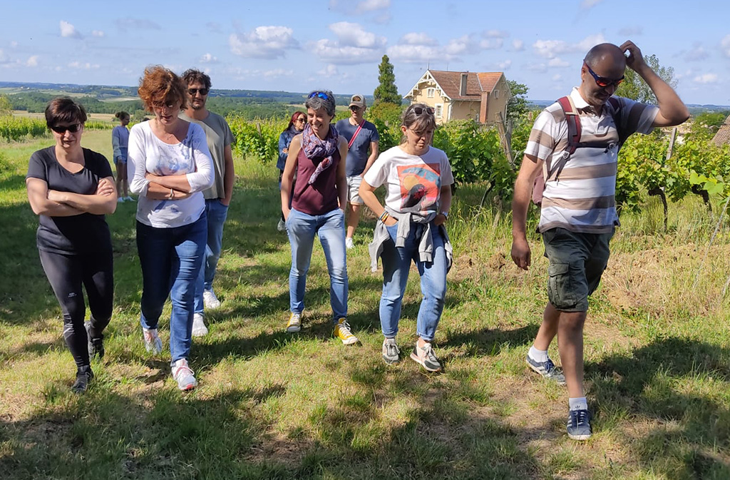Vigne et vin découverte | Domaine du Siorac, Saint-Aubin-de-Cadelech - photo 5