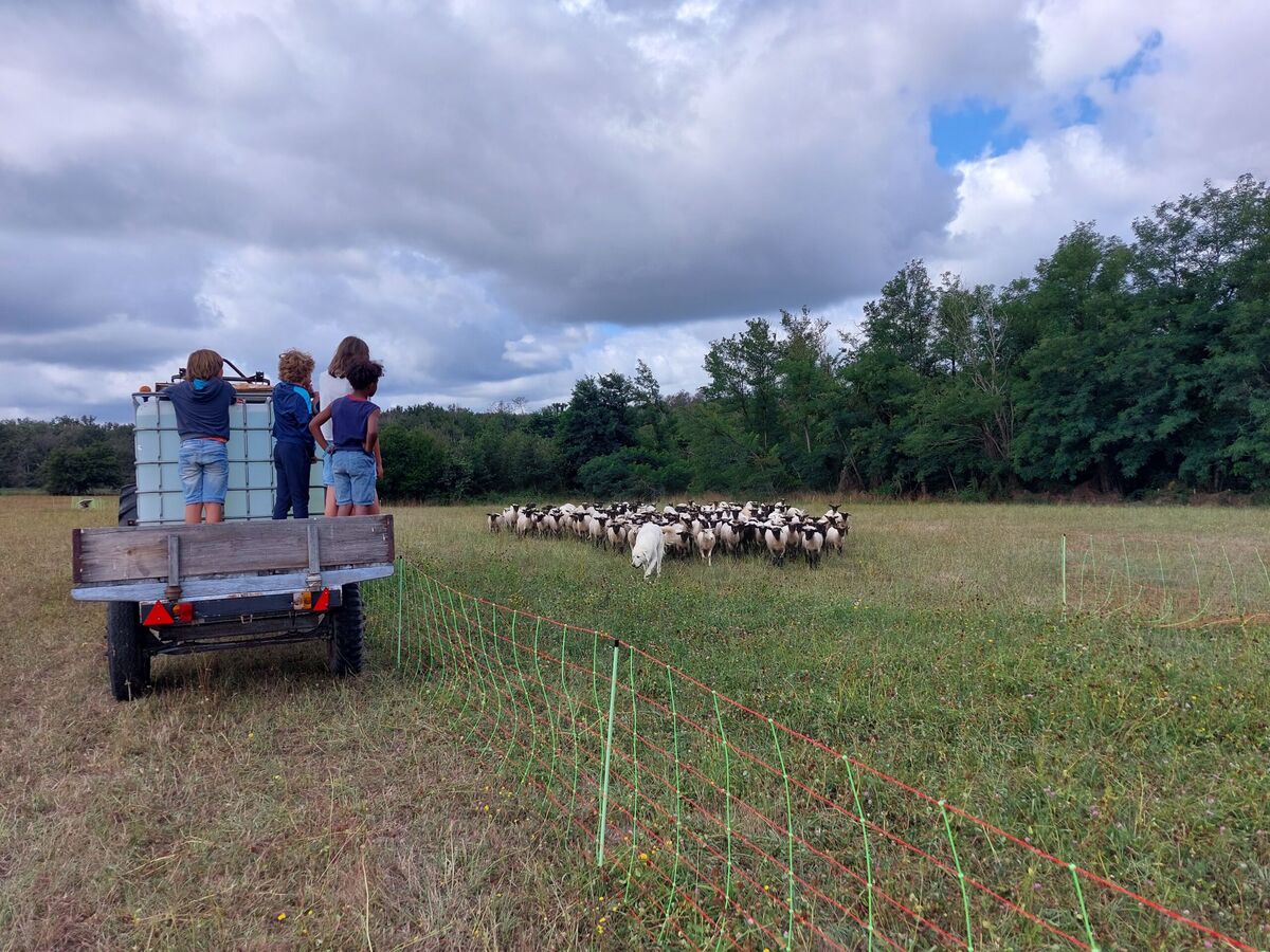 Ferme Pédagogique "Cinsî", La Roche-Chalais - photo 3