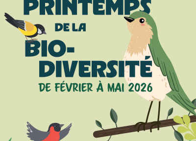 Fresque participative de la biodiversité - Représenter la flore 