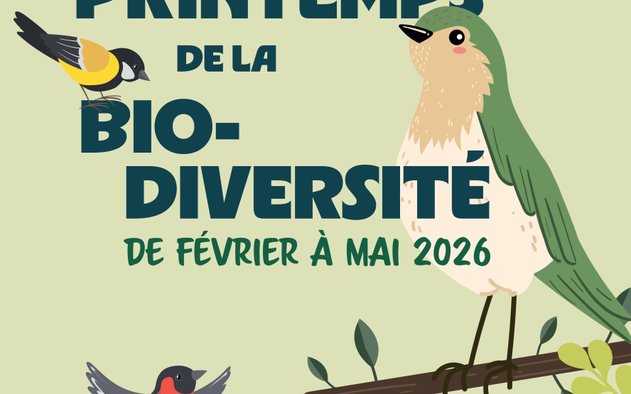 Image de présentation du lieu