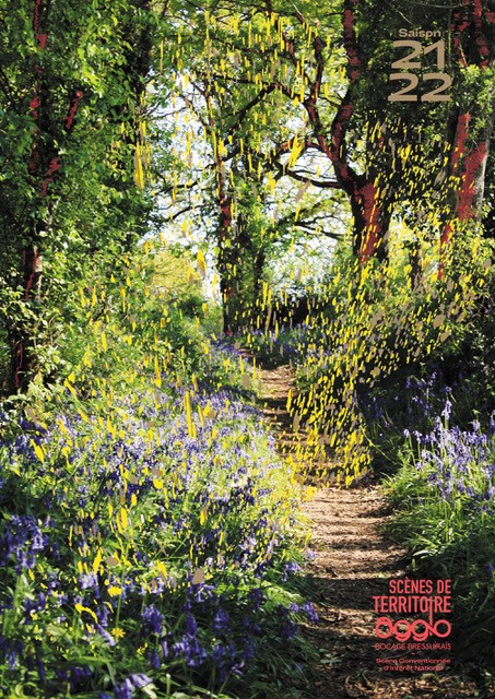 Scènes de Territoire, Bressuire - photo 9