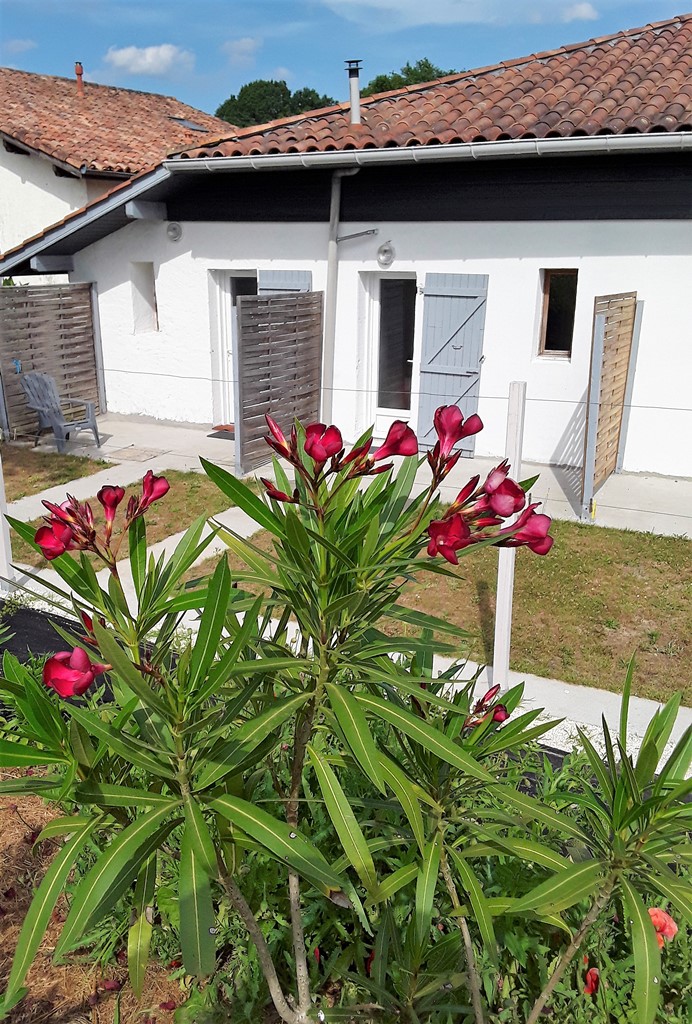 Aux gîtes de Bibens n°2 - photo 5