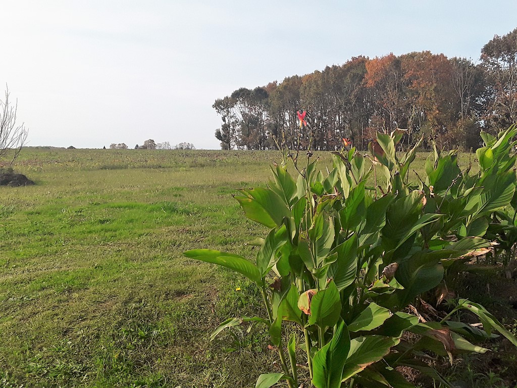 Aux gîtes de Bibens n°4 - photo 4