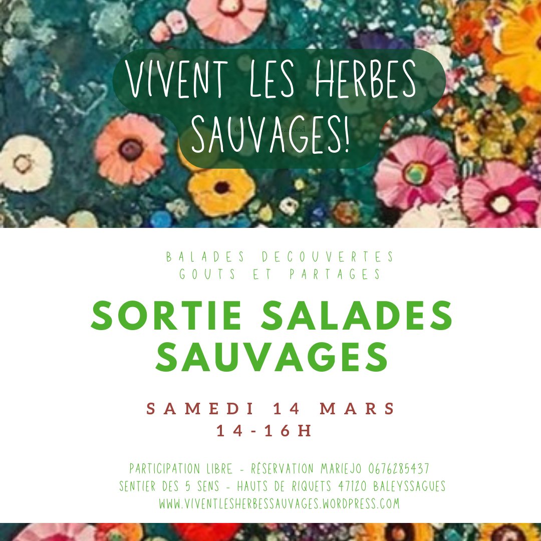 Sortie salades sauvages au Domaine les Hauts de Riquets