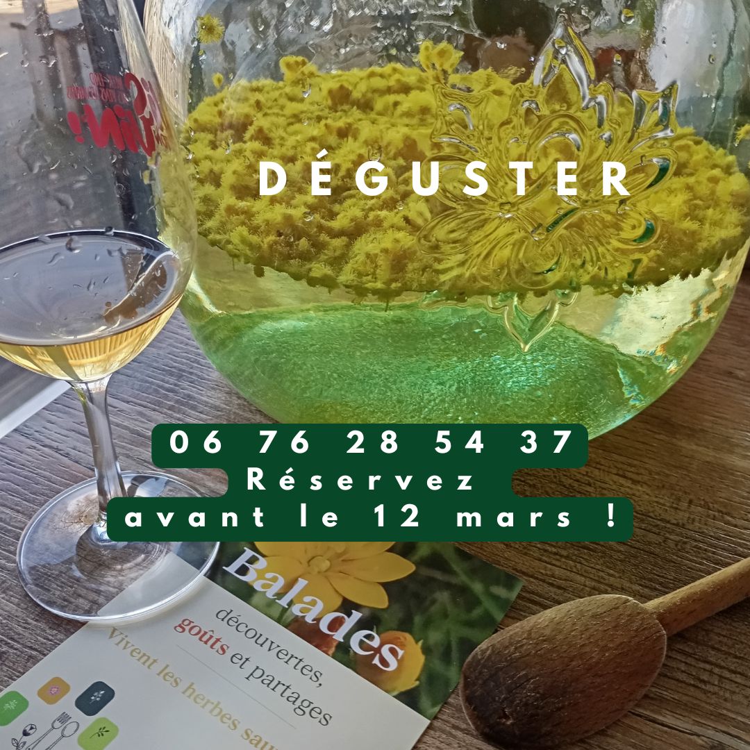 Domaine Les Hauts de Riquets