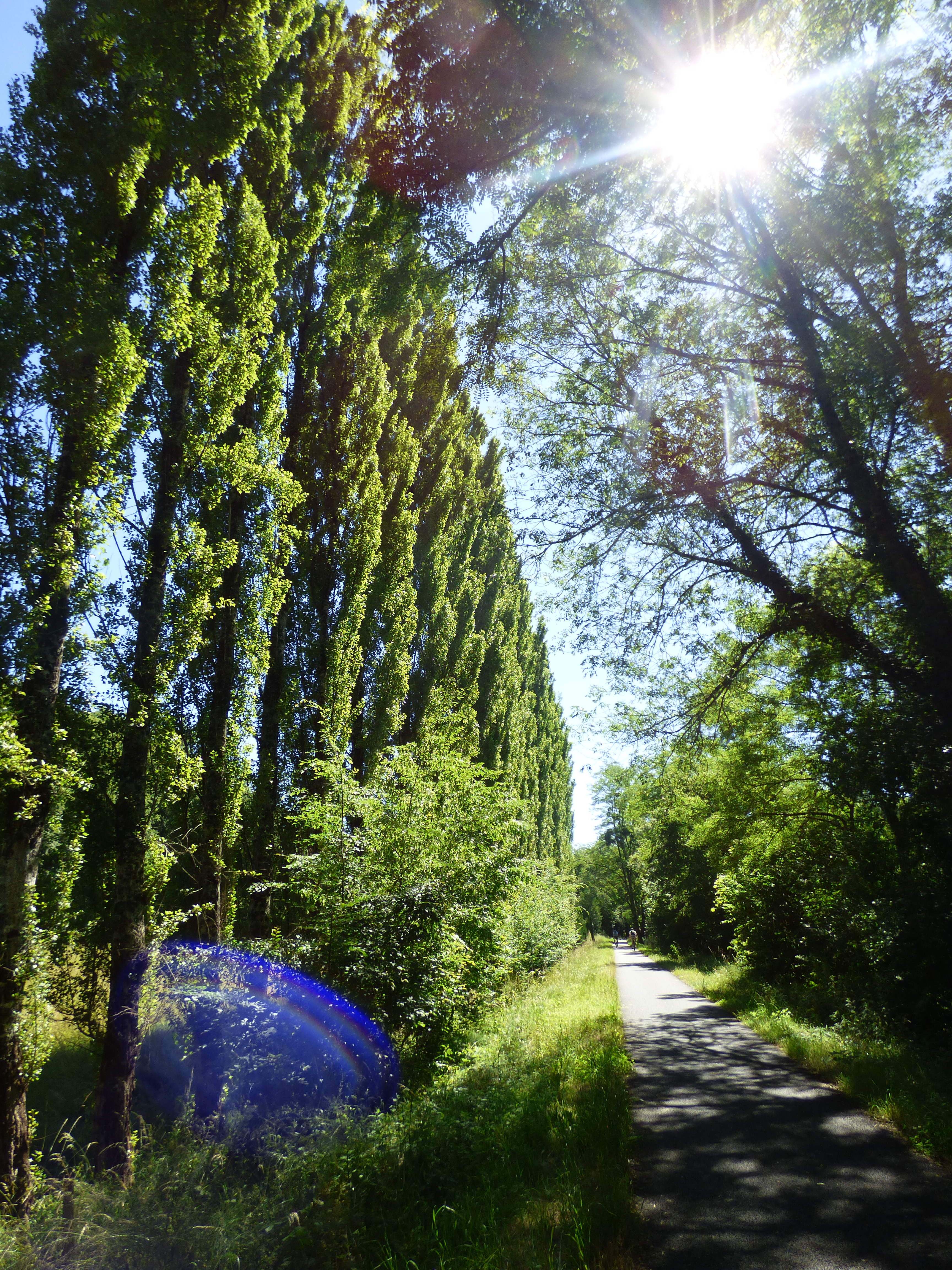 Boucle vélo n°14 Cénac circuit court, Cénac