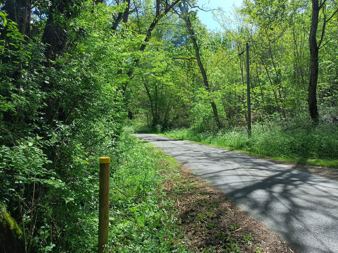 Chemin des Séchoirs à Tabac, Lamonzie-Montastruc - photo 6