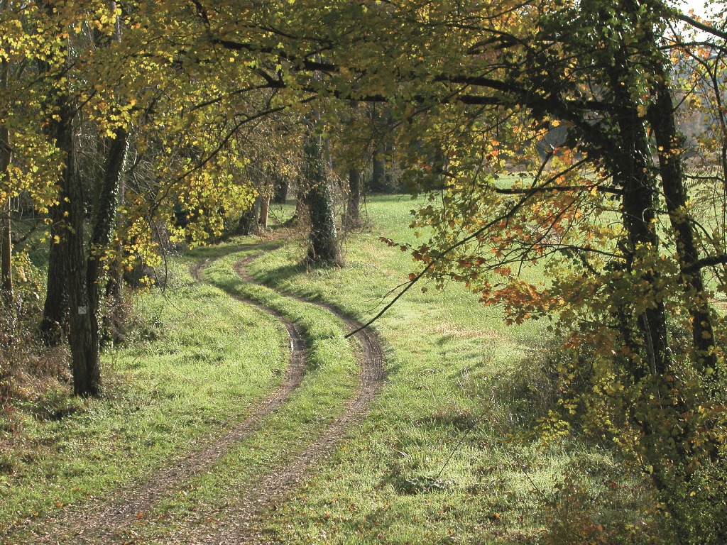 Voie Verte de Chalosse