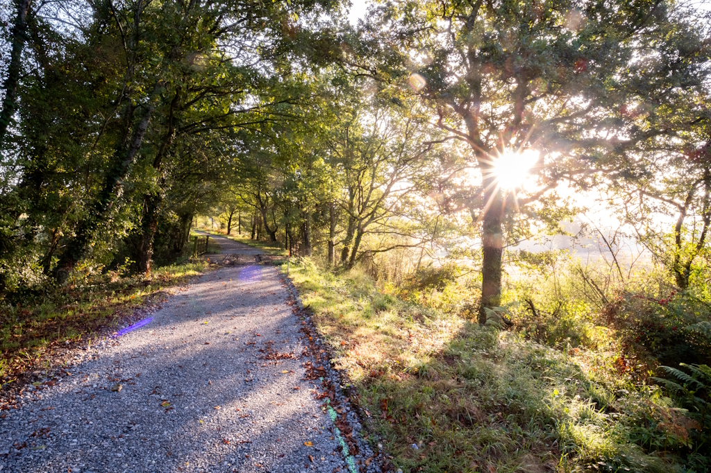 Voie verte du Haut Limousin - photo 5