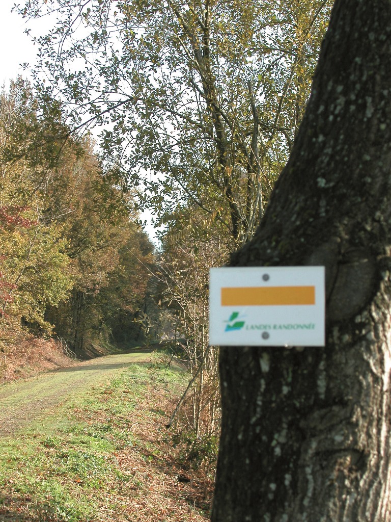 APAEP Section randonnée pédestre
