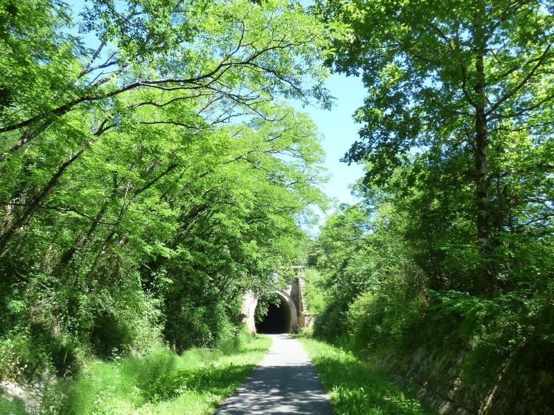 Boucle Hector - photo 3