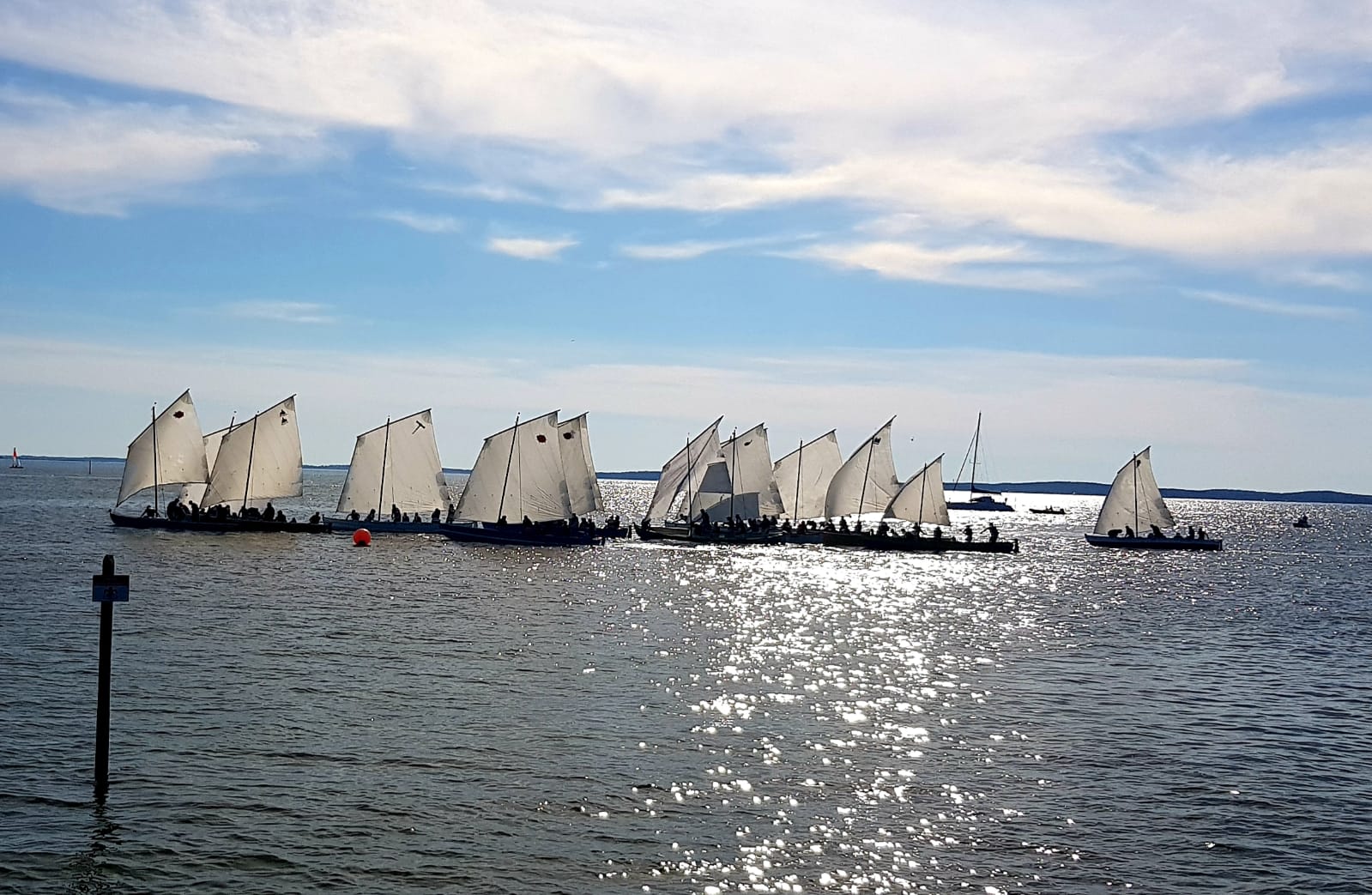 La 10e édition des Voiles en liberté accueille Les Escales du Bassin