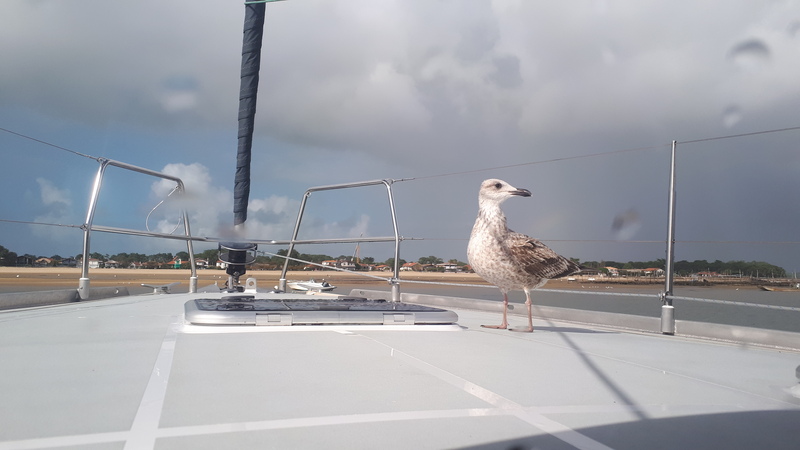 Le Batelier de Suzette, Lanton - photo 8