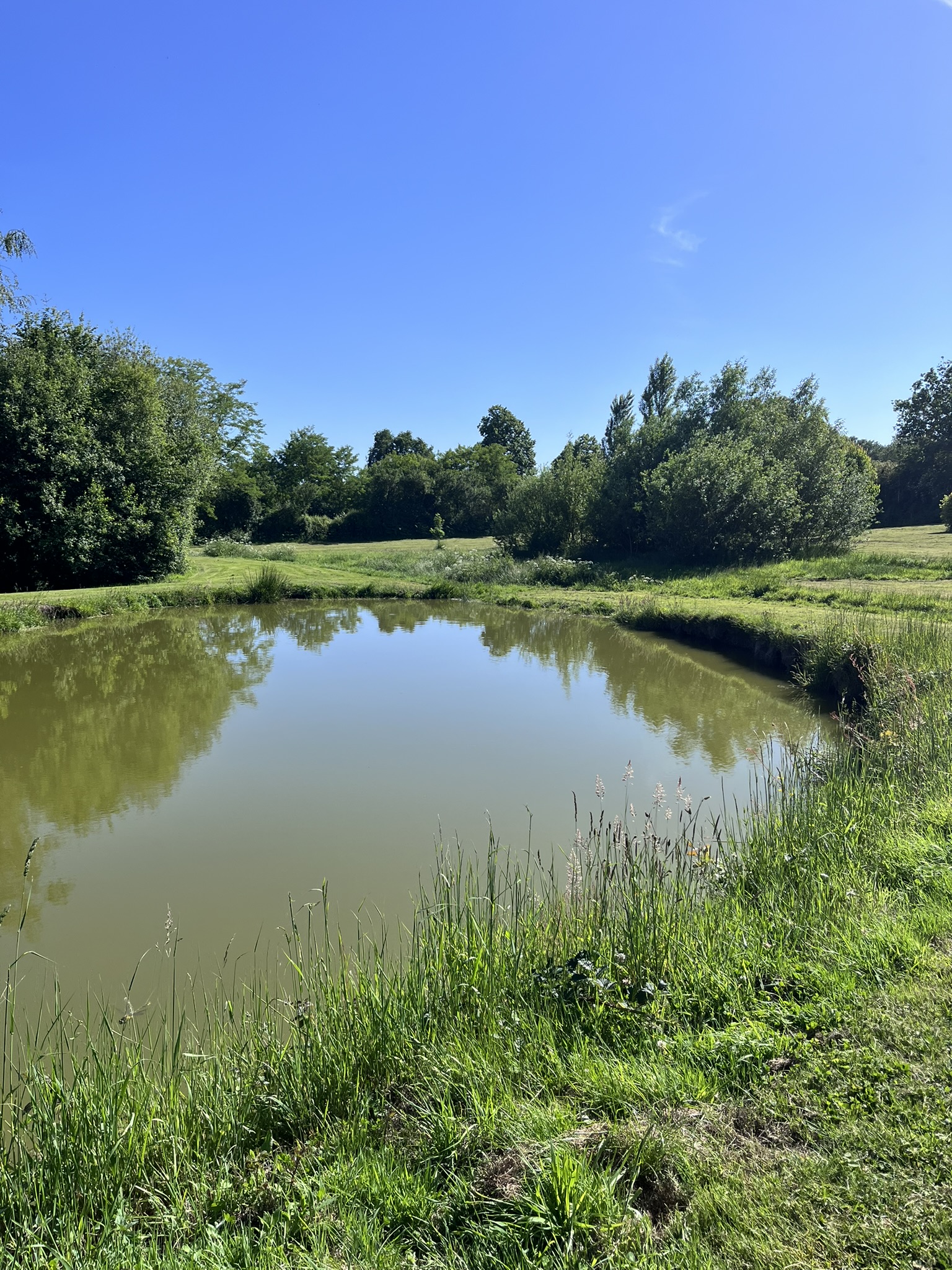 Visites Estivales 2026 - Découverte de la biodiversité - Voulmentin
