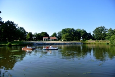 Patylandes - Plantade Patricia, Angresse - photo 6