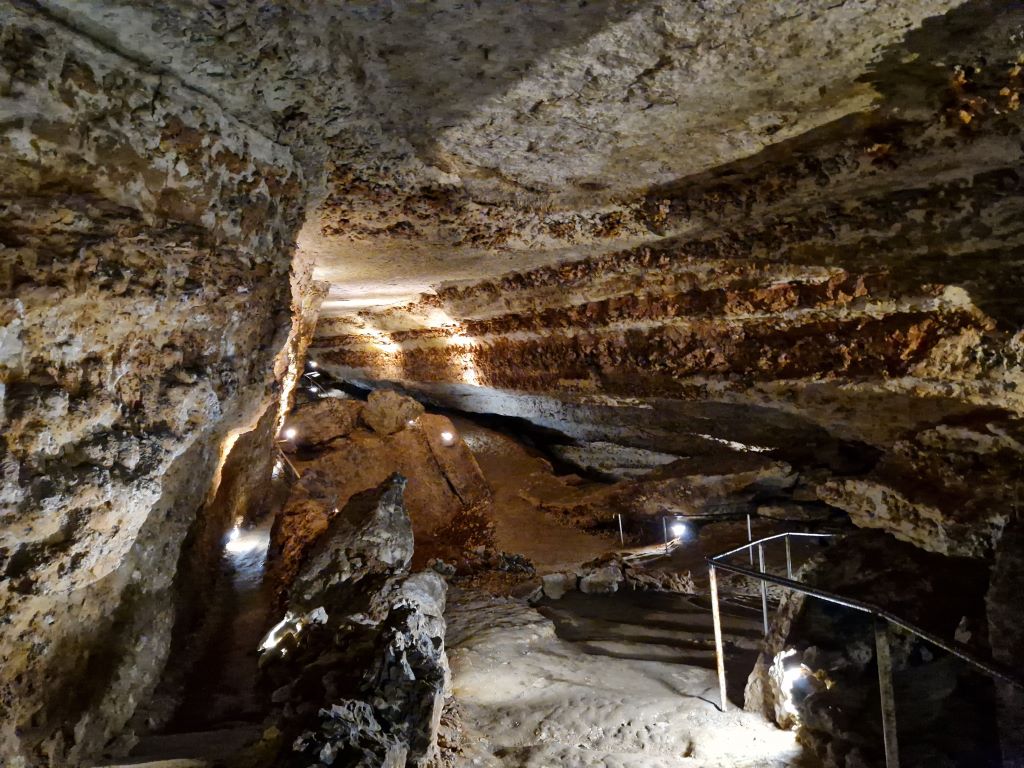 Grotte de Bara Bahau - Le Sanctuaire de l'Ours, Le Bugue - photo 5