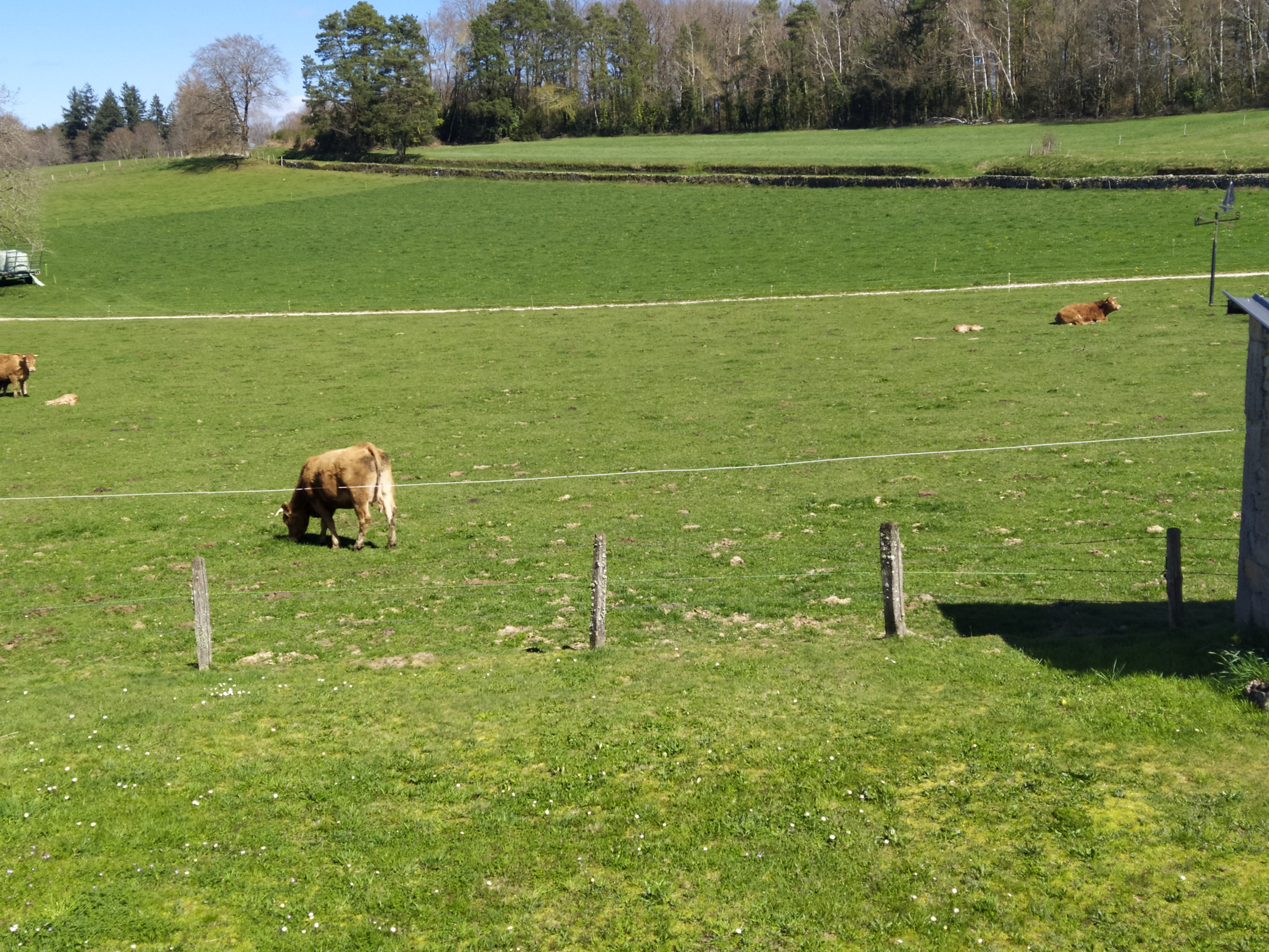 La ferme Gleinadin, Camps-Saint-Mathurin-Léobazel - photo 8