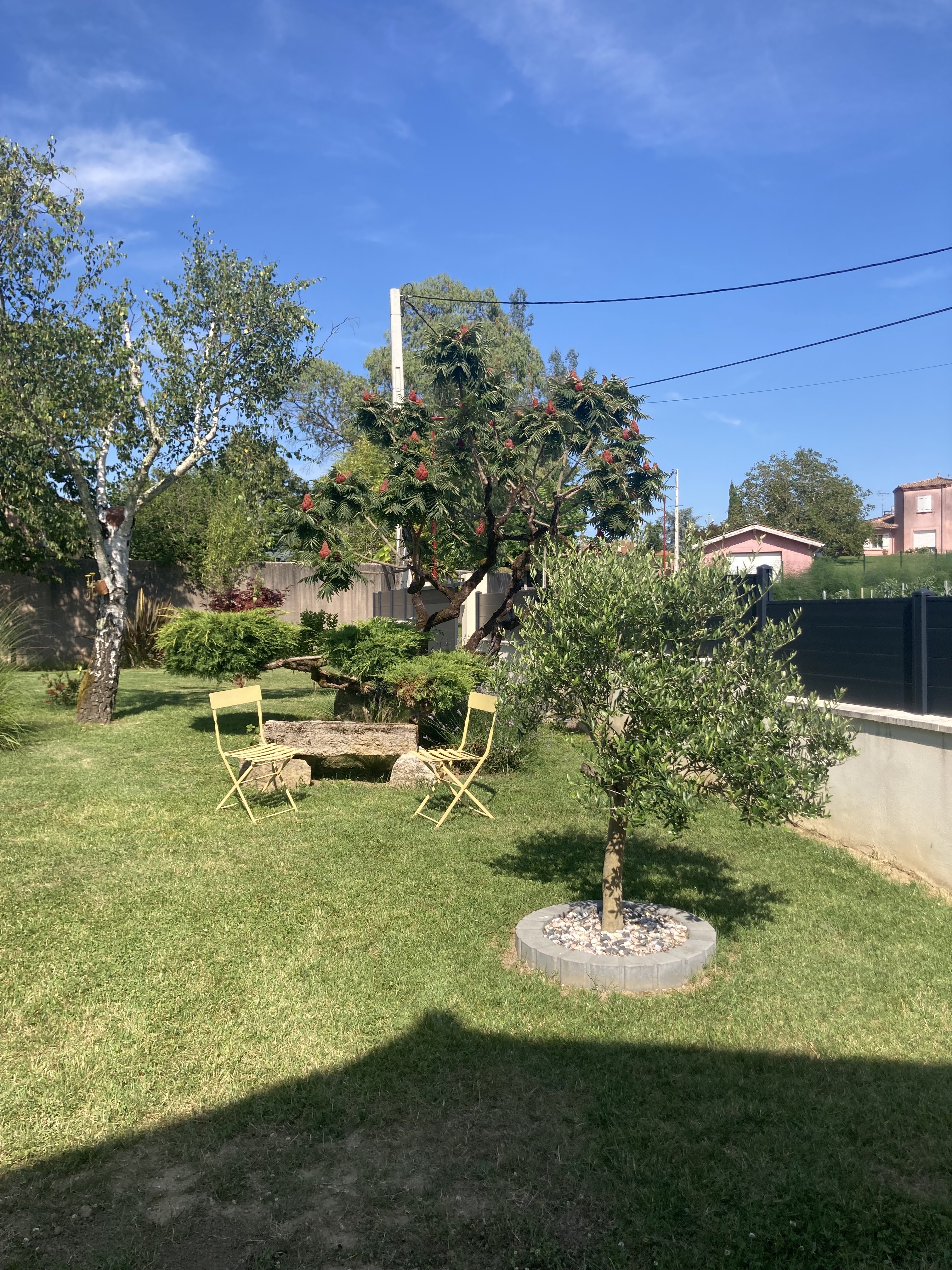 L'ancien chai, Laroque - photo 8