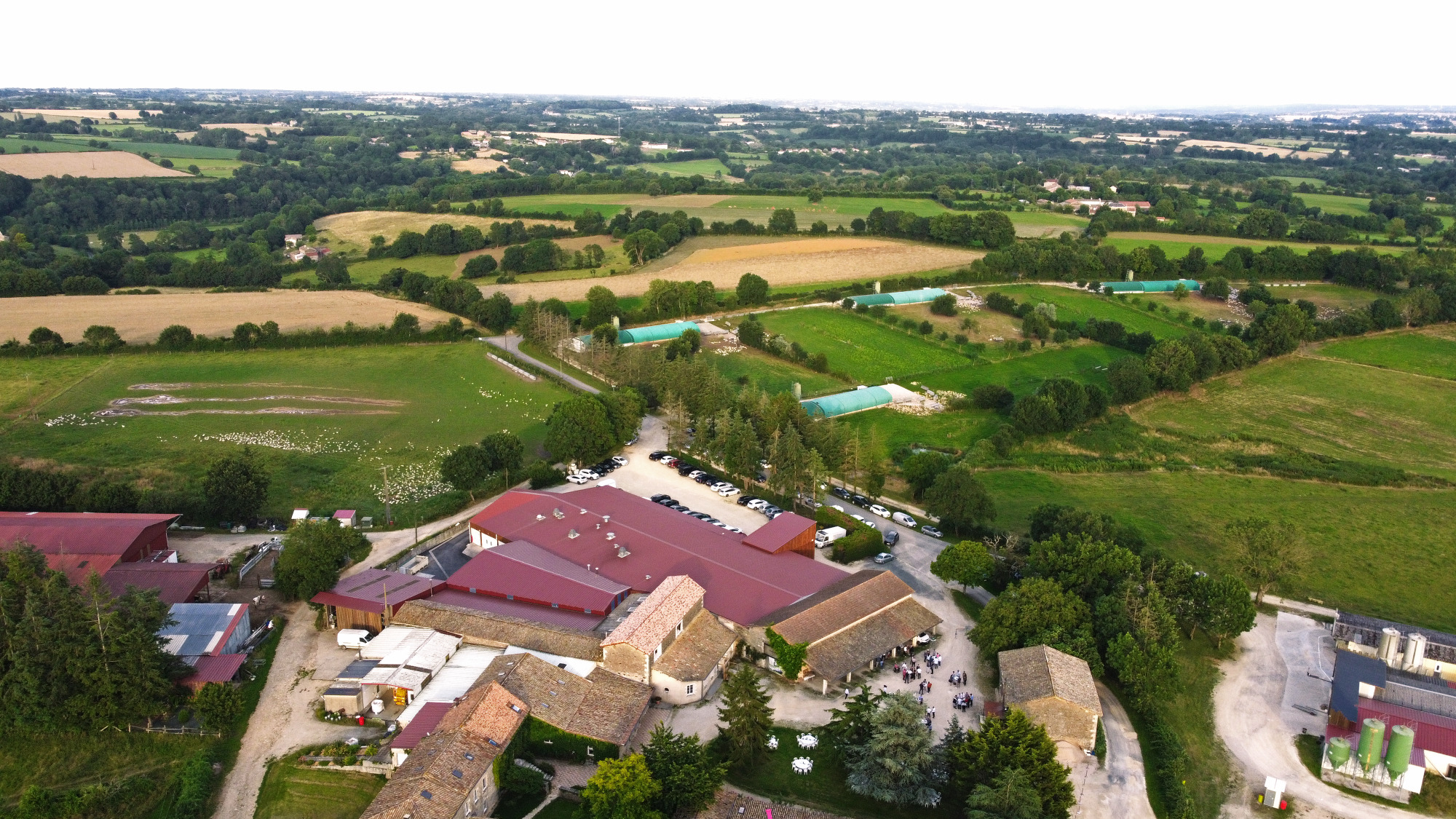 SARL Chez Morille - photo 3