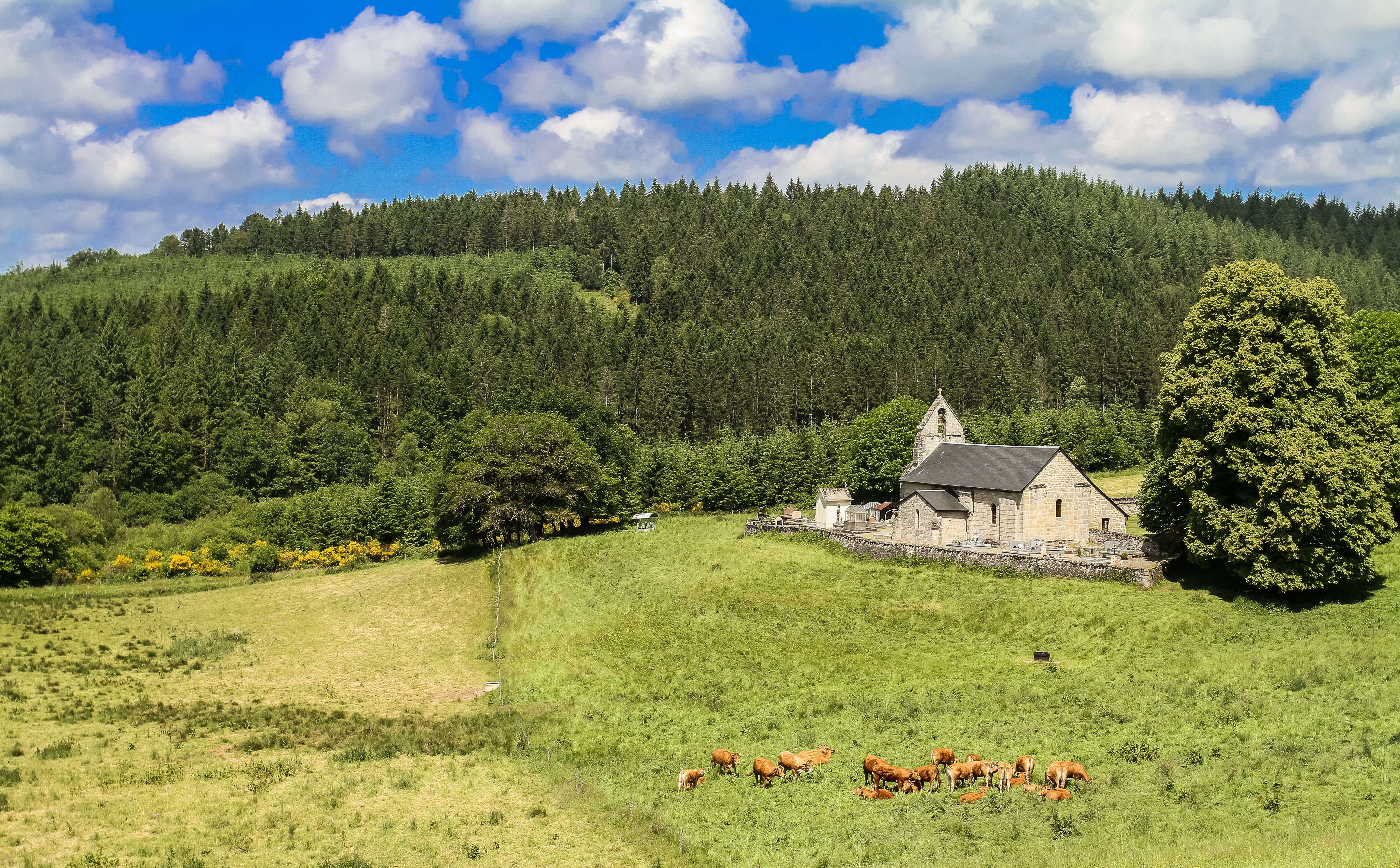Le Puy Mamoulaud, L'Église-aux-Bois - photo 2