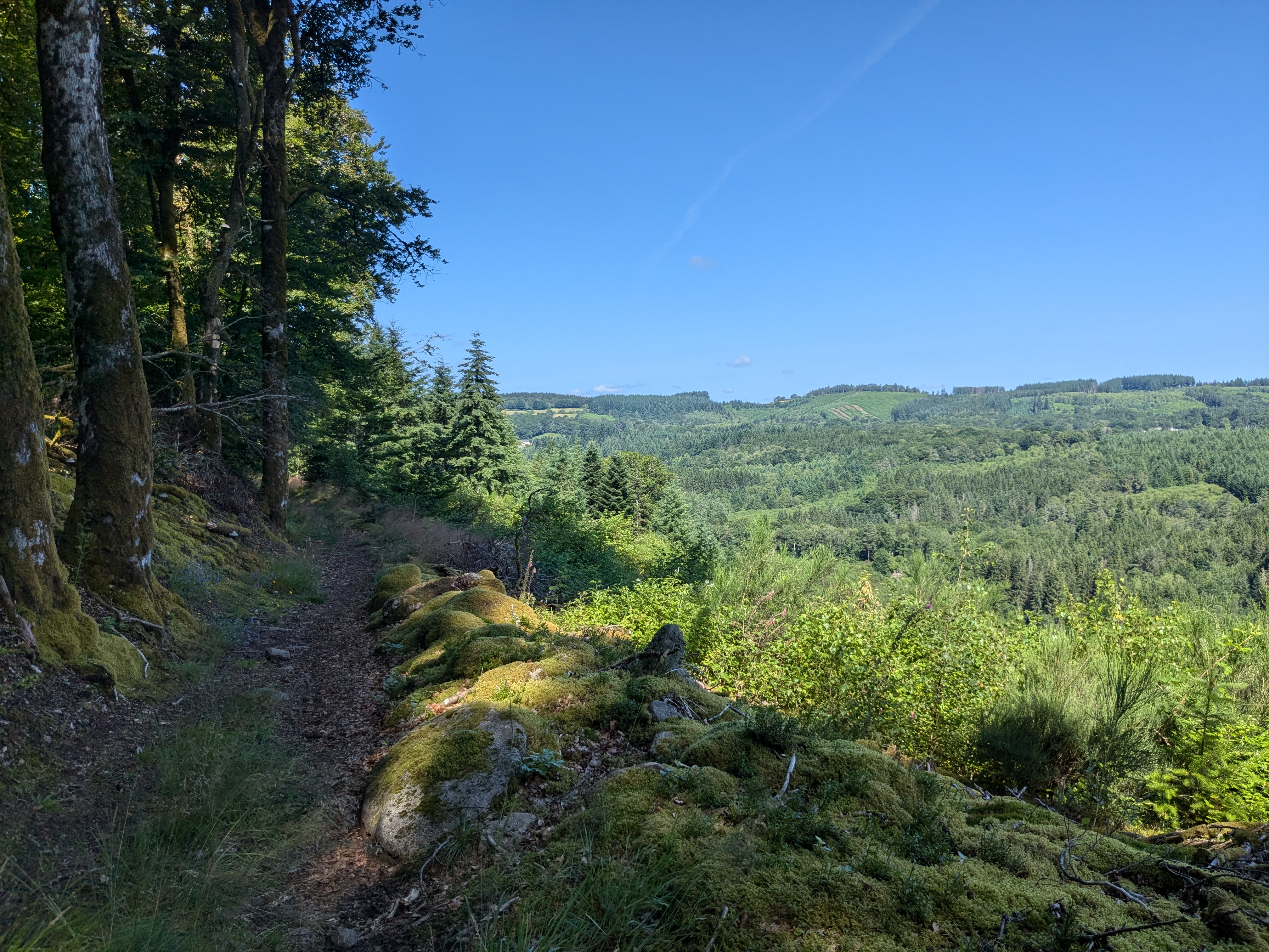 Landes et Tourbières