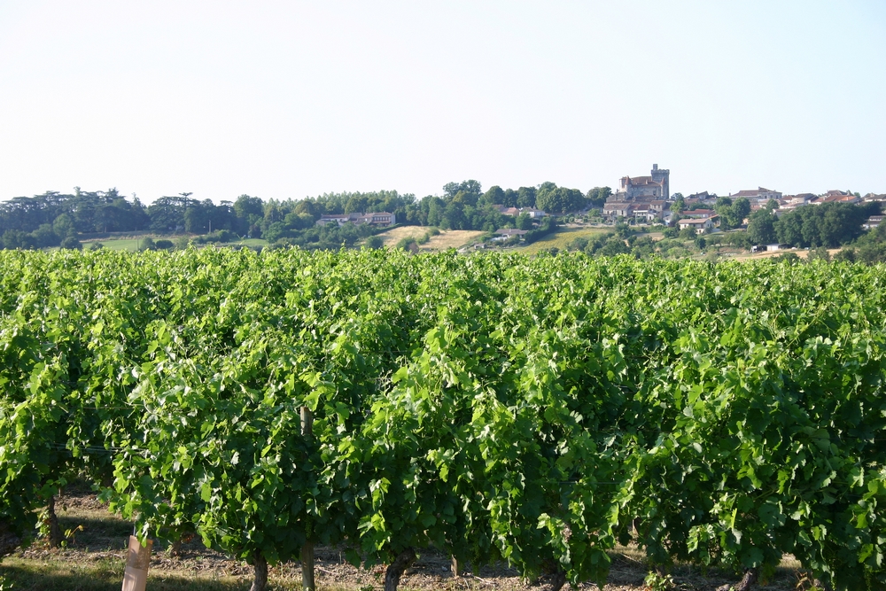 Village de Xaintrailles, Xaintrailles