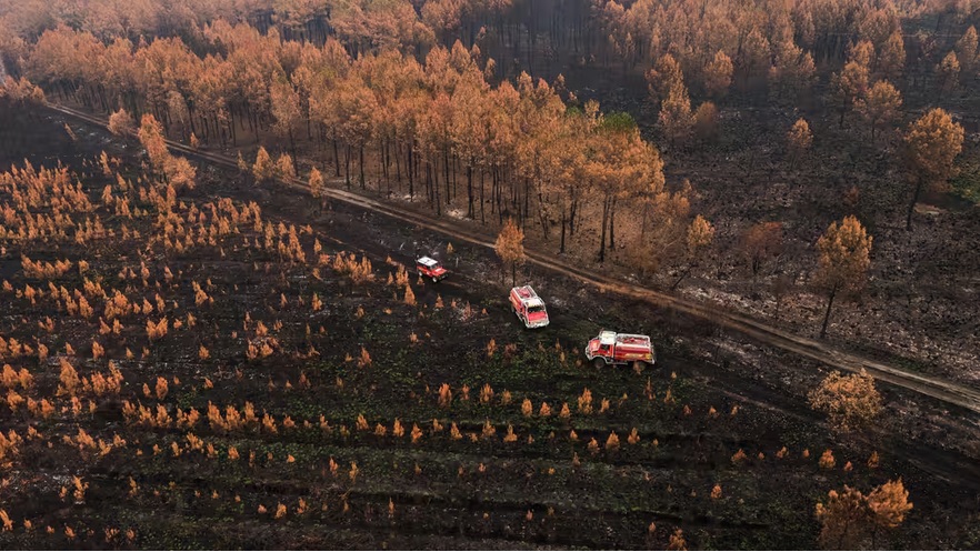 Landiras, Entre forêt et vignes - photo 2