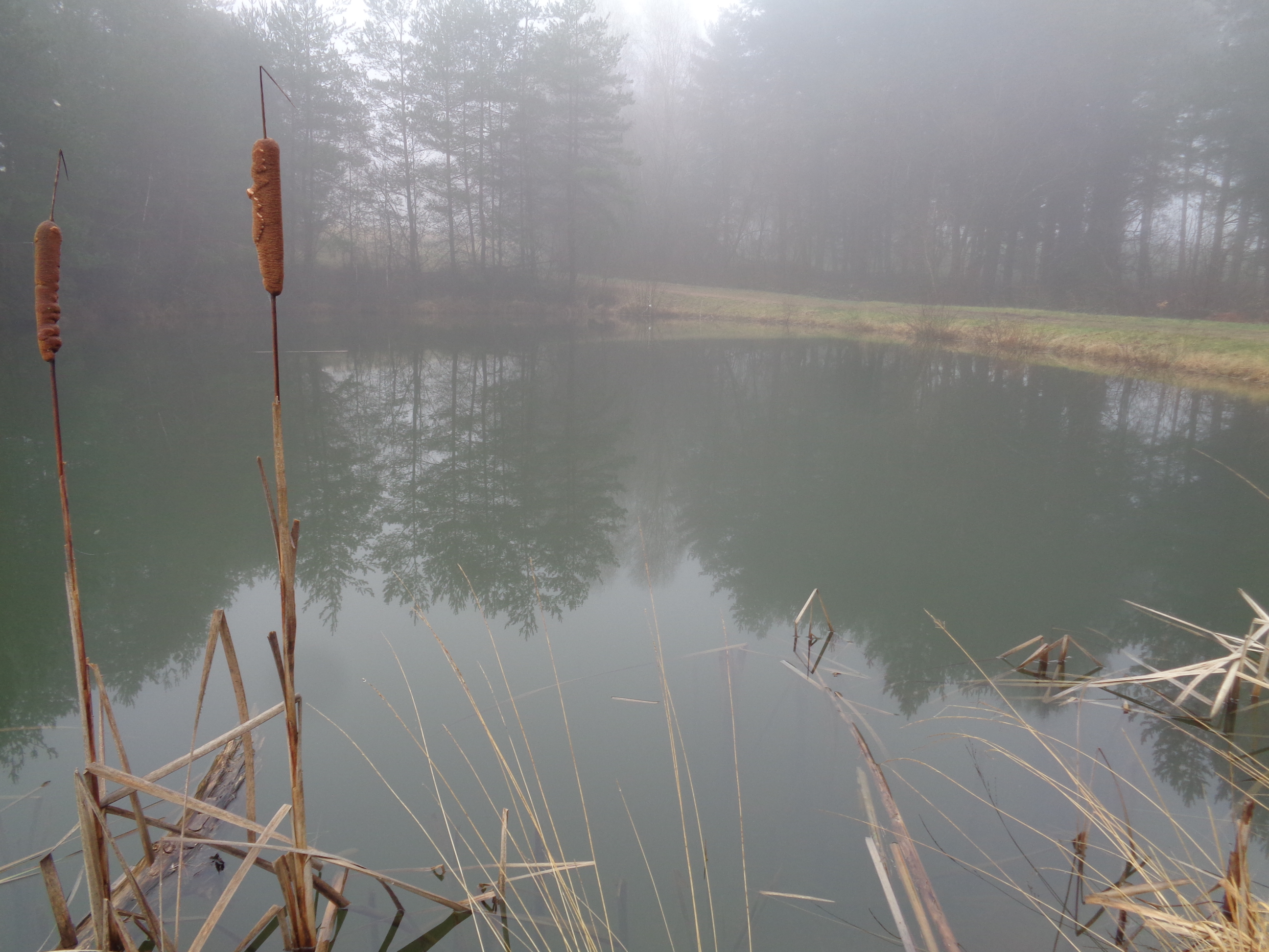 Roc de Maille — photo 2
