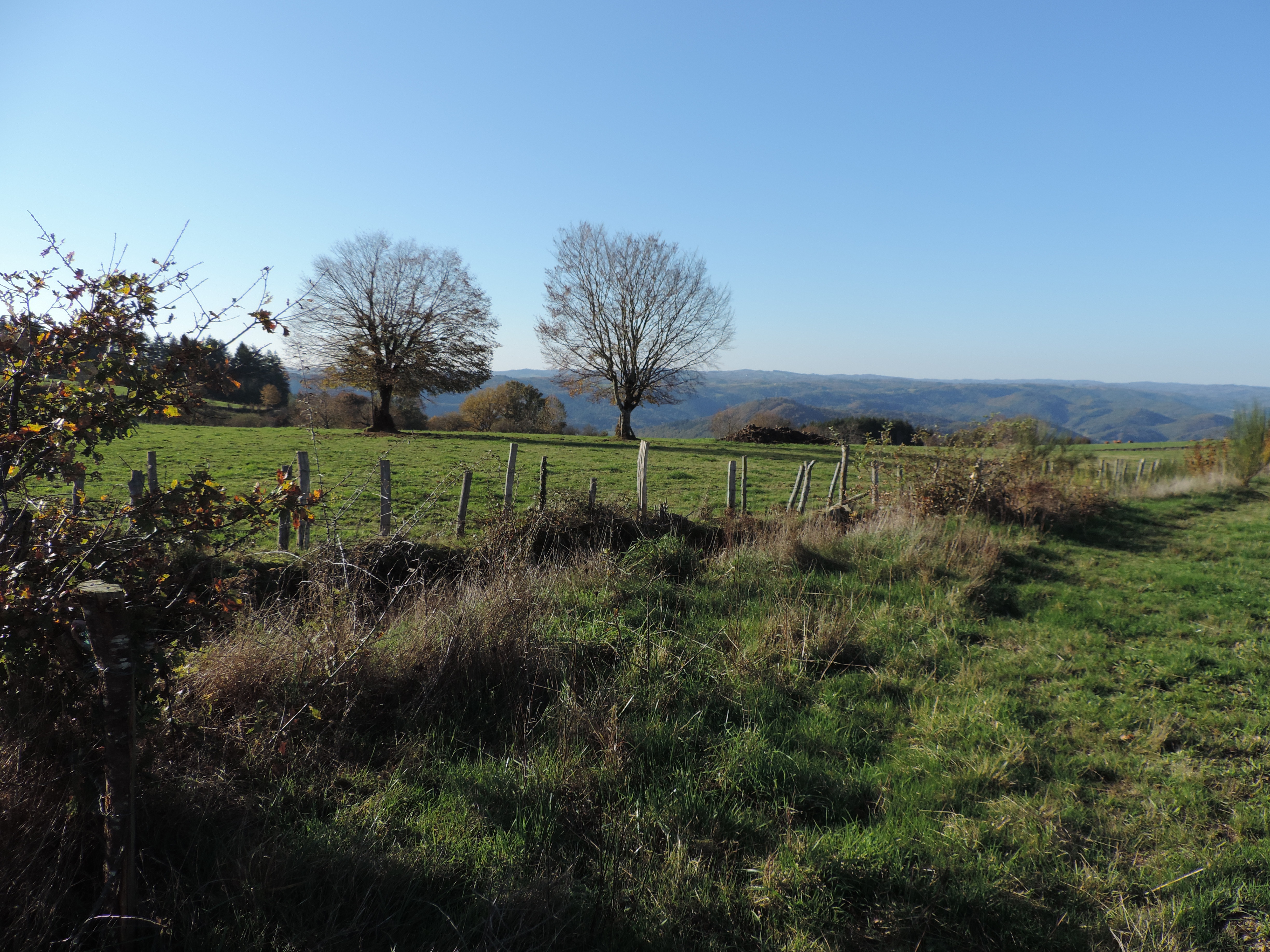 Les Moulinots — photo 3