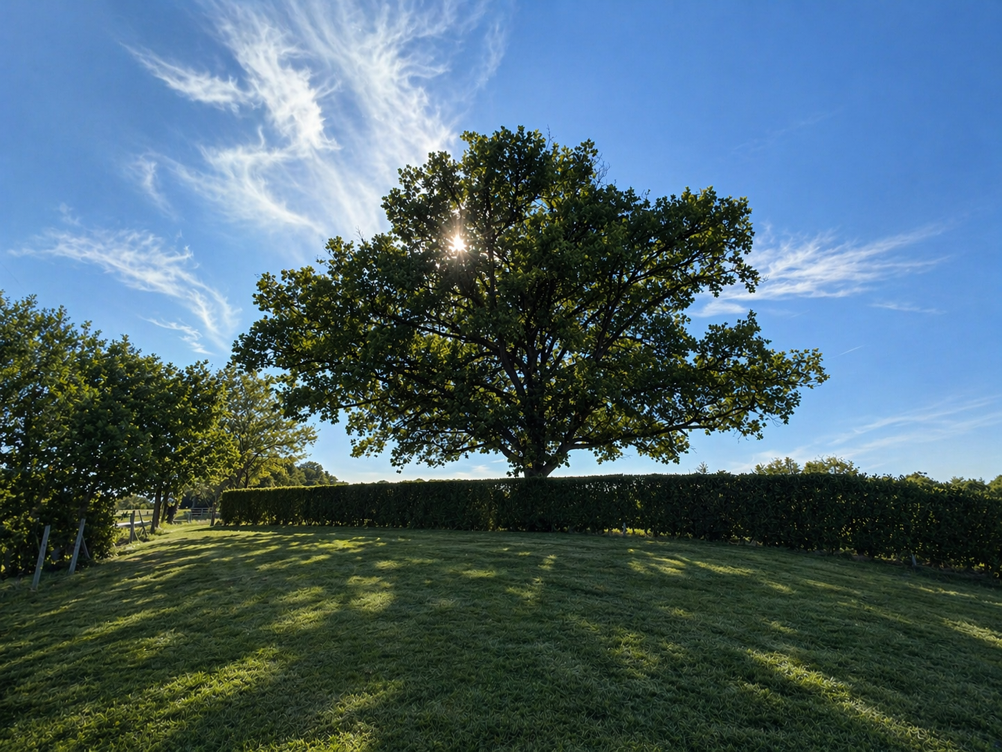La longère, Peyrat-de-Bellac - photo 3