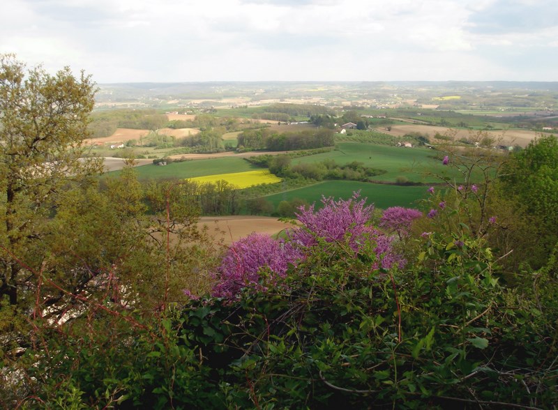 Point de vue de Monségur