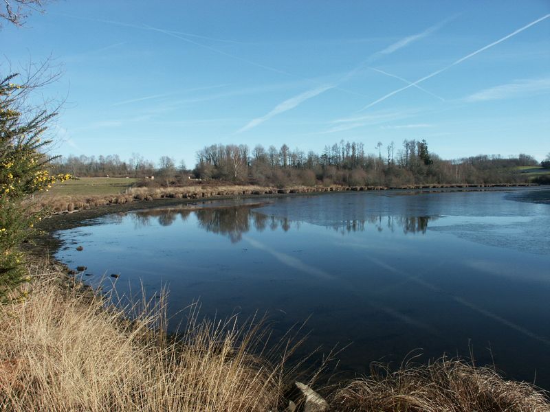 Grand Etang de Saint Estèphe, Saint-Estèphe - photo 4