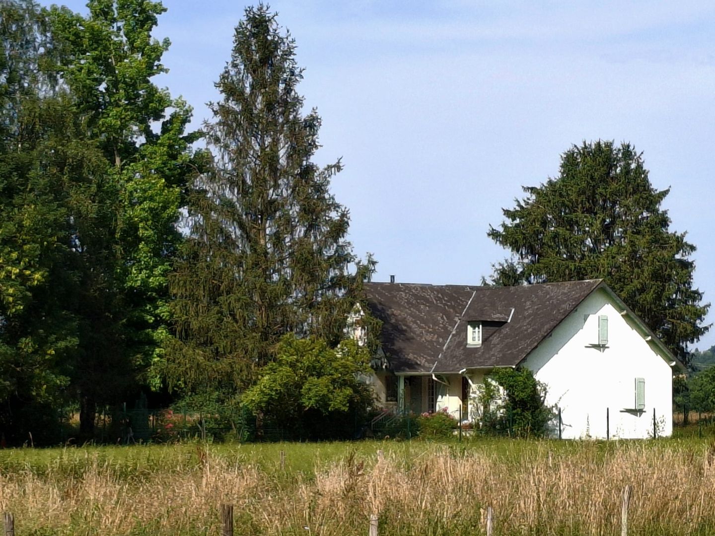 Les Pasots, Asasp-Arros