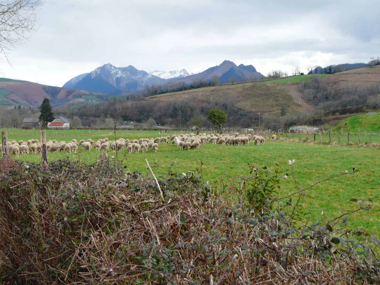 Chalet Marchand, Lanne-en-Barétous