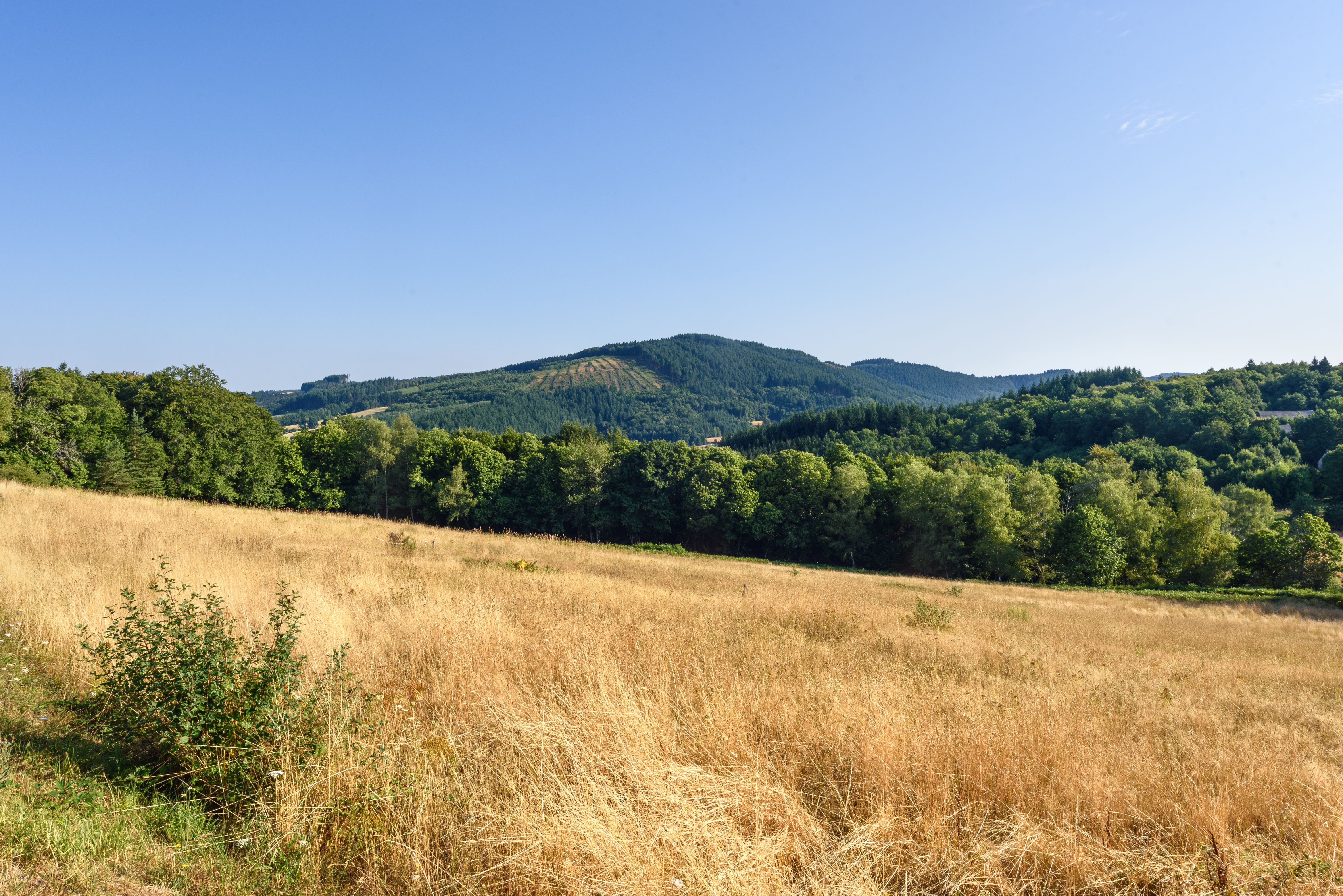 Le Mont Ceix, Chamberet - photo 7