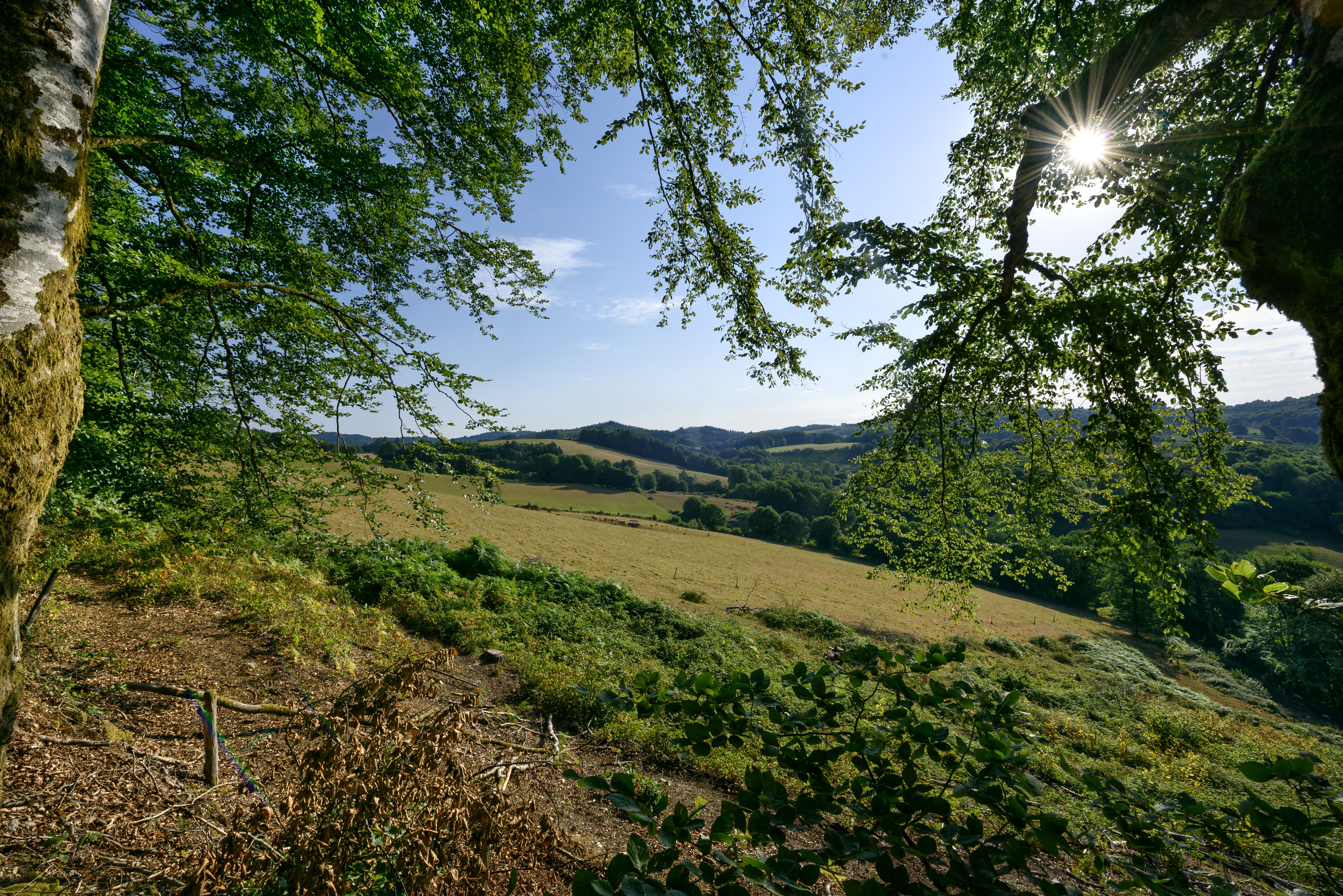 Le Mont Ceix, Chamberet - photo 8