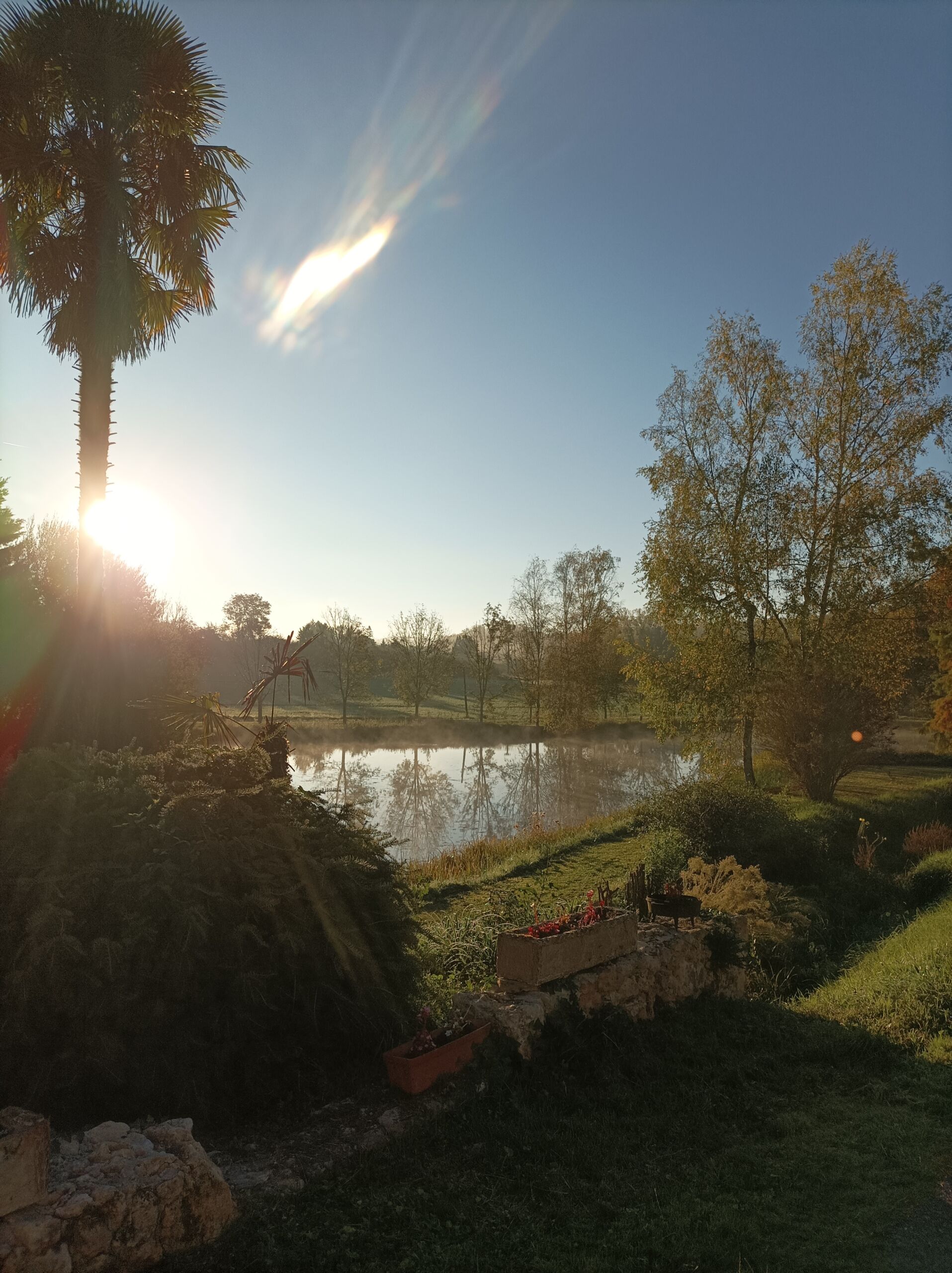 Gîte de l'Olivier, Bourgnac - photo 8
