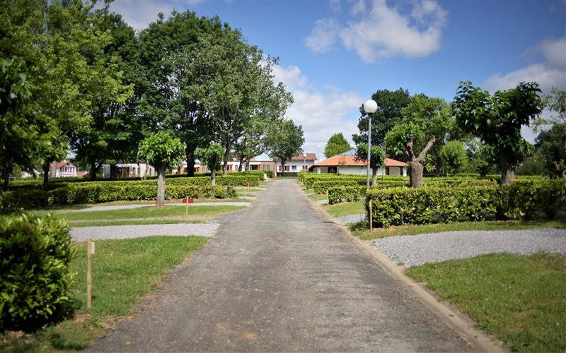 Camping Bixta Eder