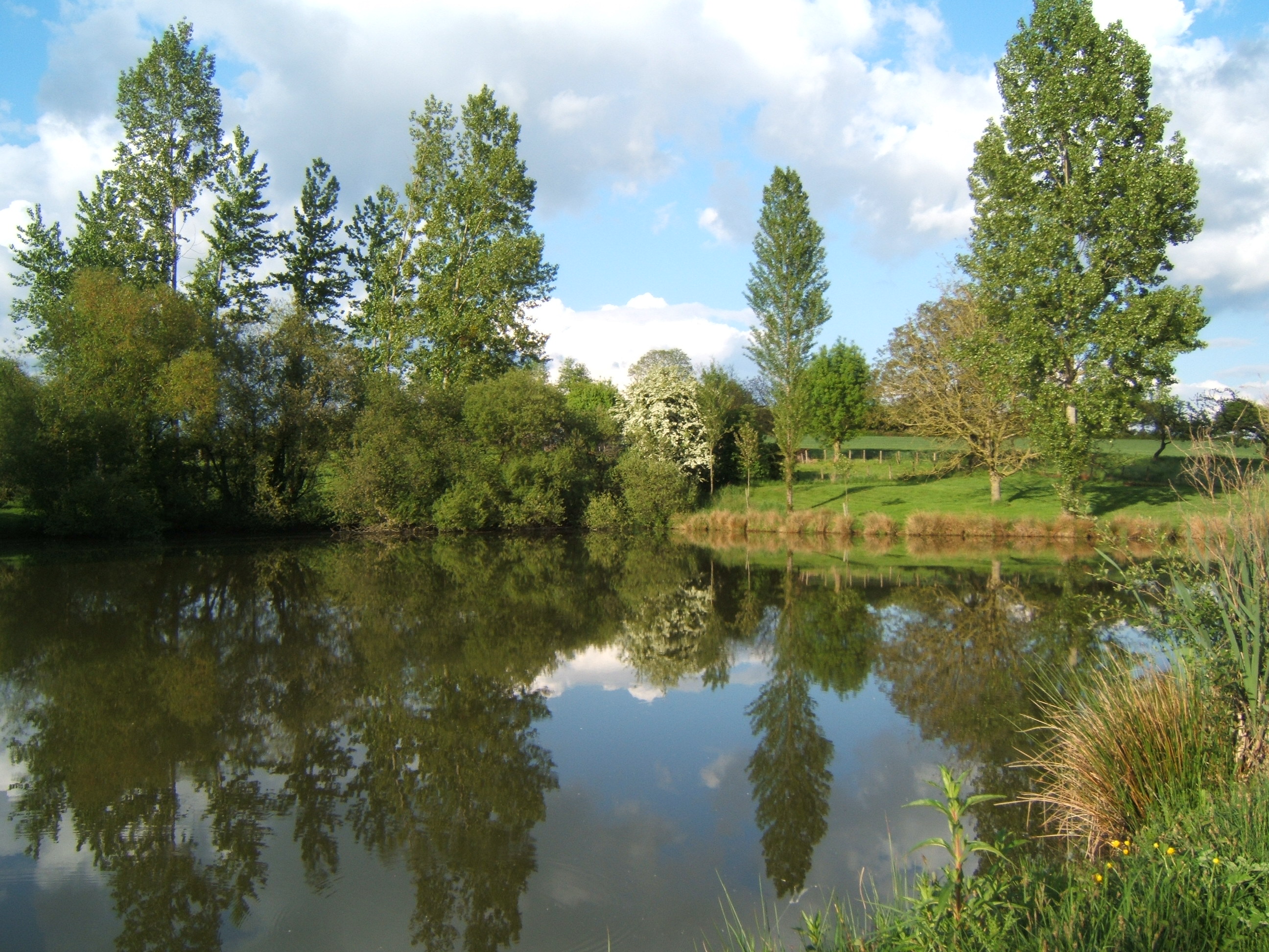 Grand Gite de Tir Na Nog, Secondigny - photo 14