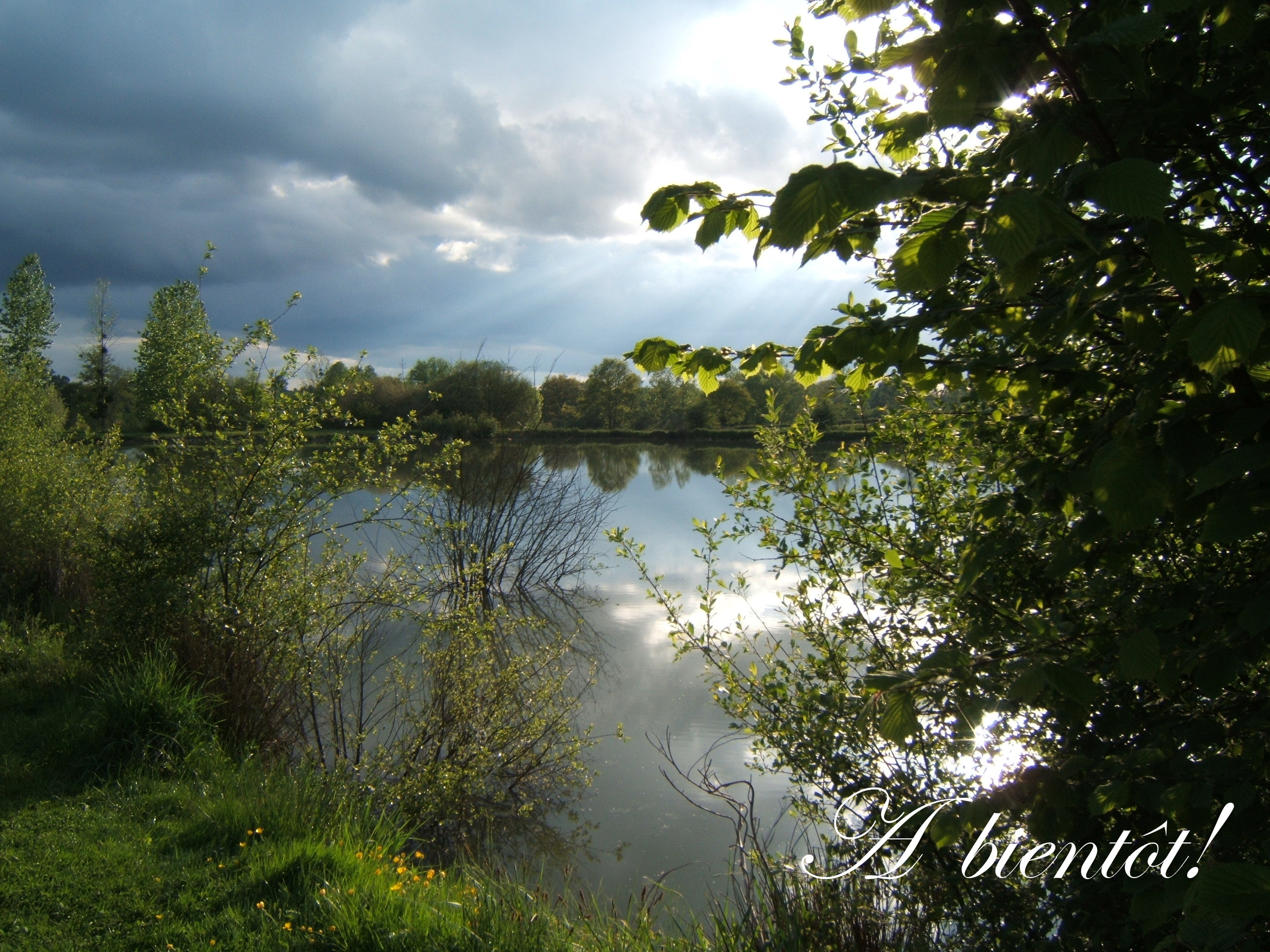 Grand Gite de Tir Na Nog, Secondigny - photo 6