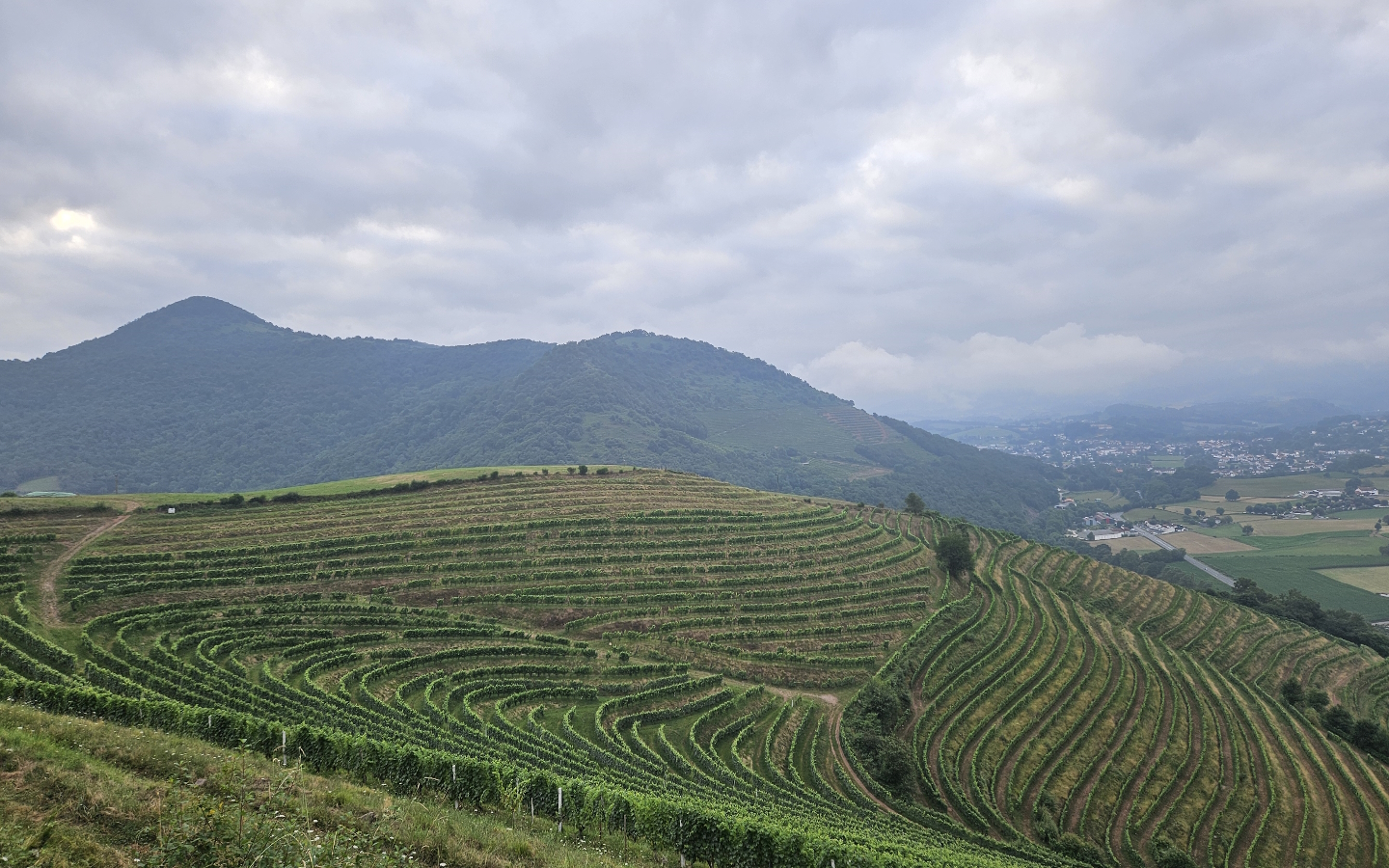 Table d'orientation Itarako d'Ascarat, Ascarat - photo 5