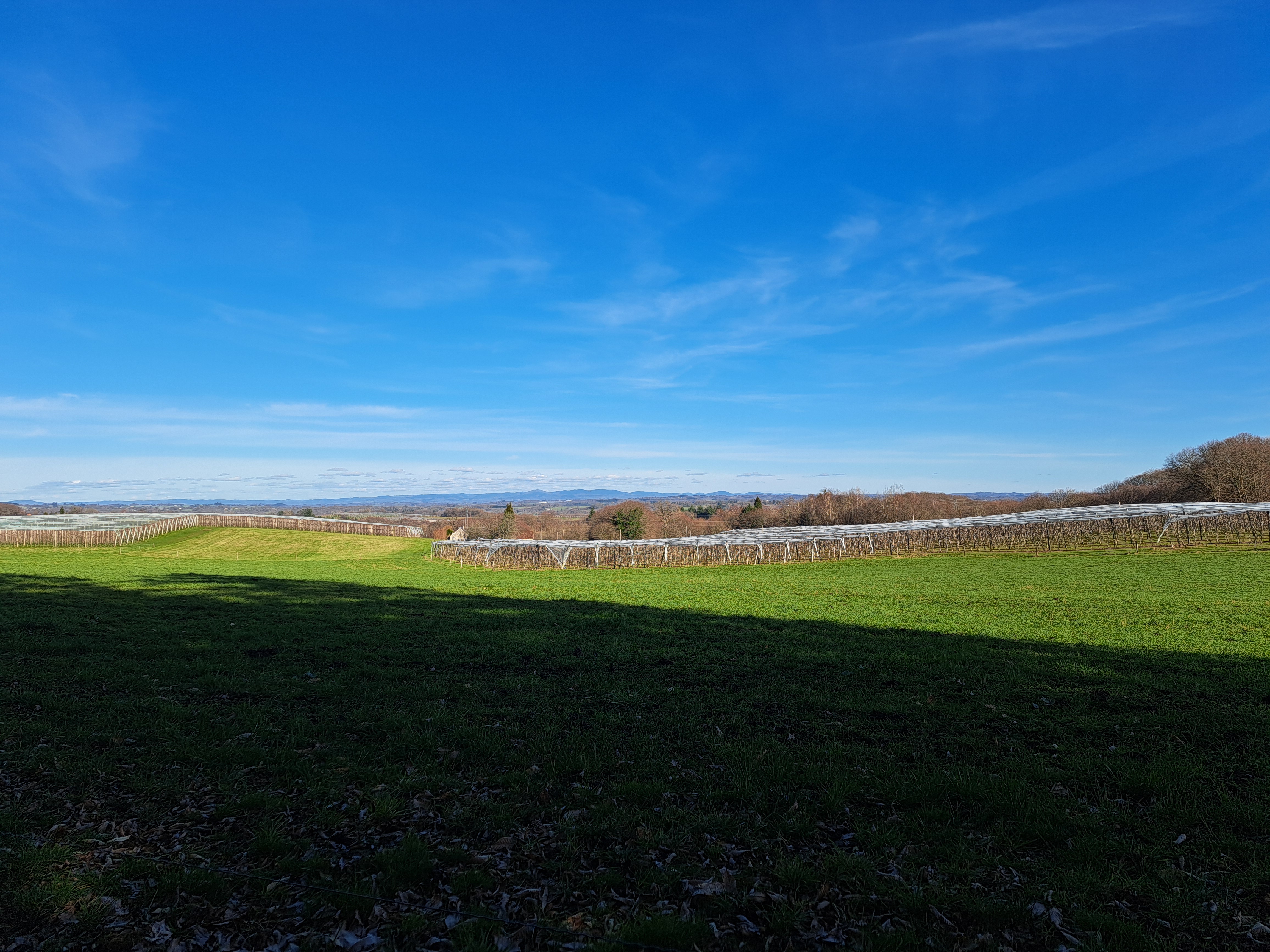 Sur les pas d'Innocent VI, Beyssac