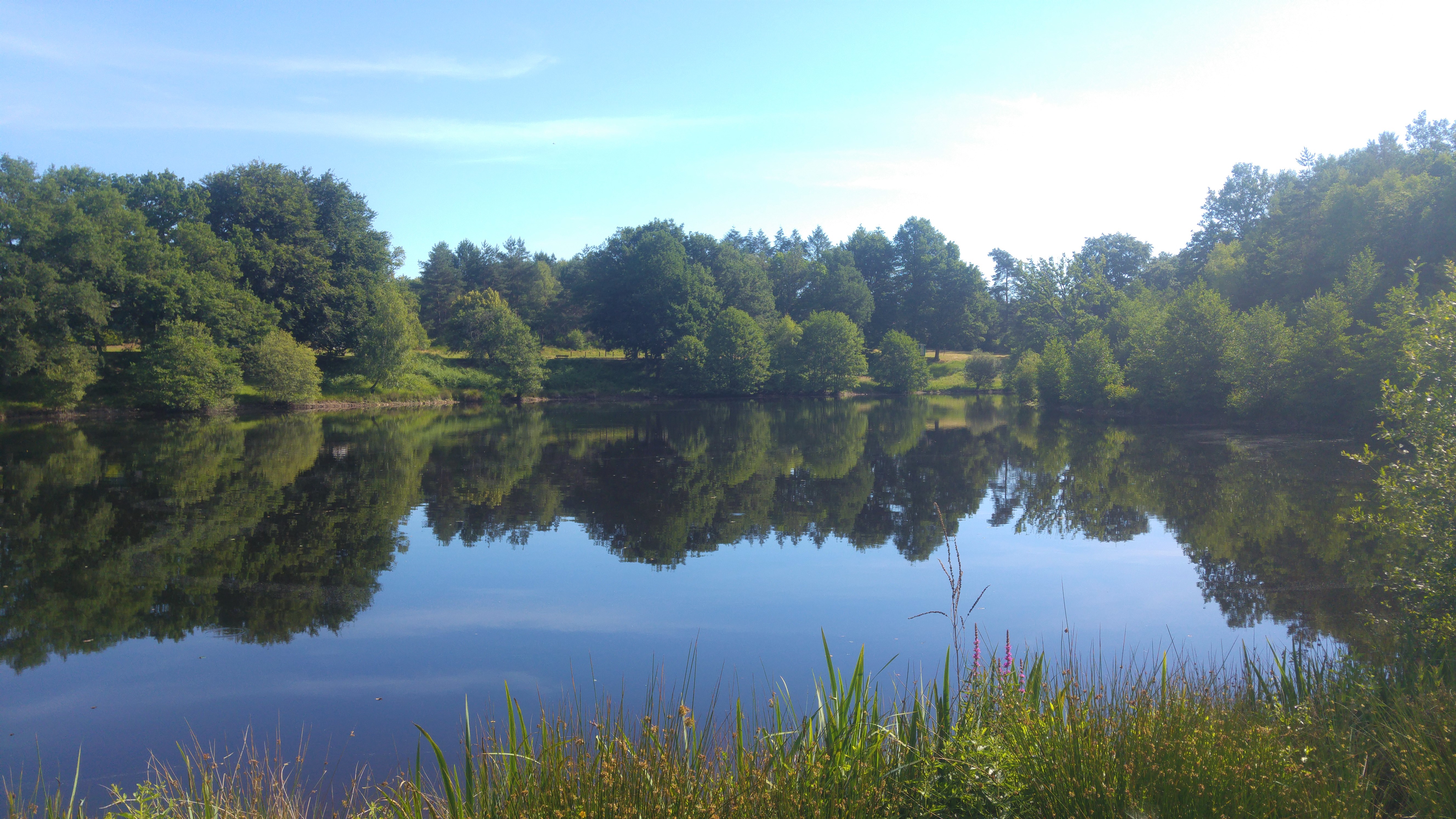VTT - Gravel - Les Abbesses - 16 km - circuit 16, Combressol - photo 5